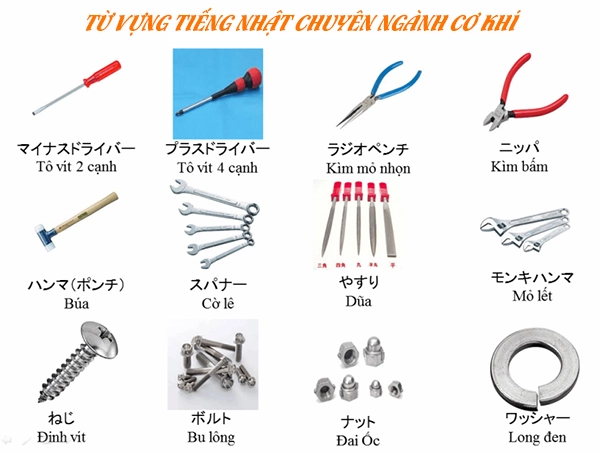 Một số từ vựng liên quan đến ngành